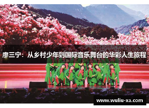 廖三宁：从乡村少年到国际音乐舞台的华彩人生旅程