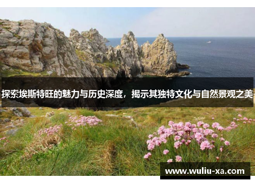 探索埃斯特旺的魅力与历史深度，揭示其独特文化与自然景观之美