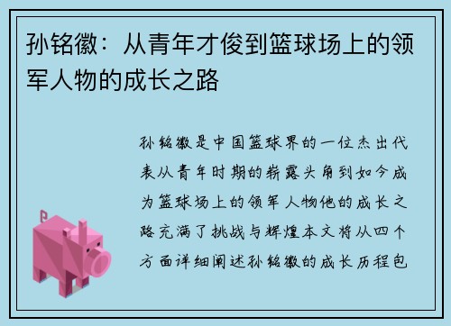 孙铭徽：从青年才俊到篮球场上的领军人物的成长之路