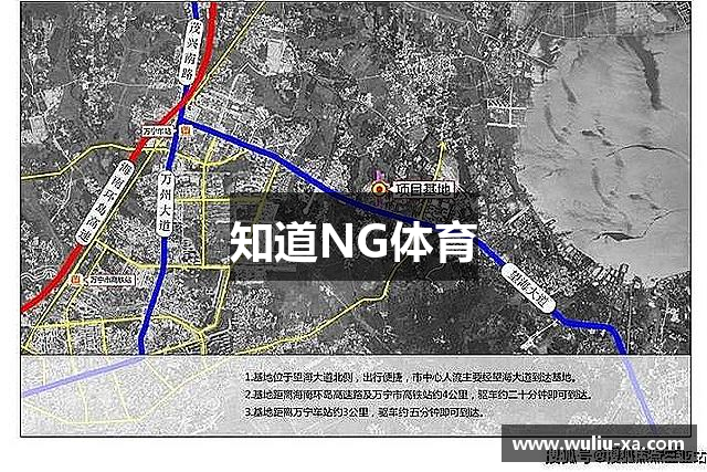 知道NG体育